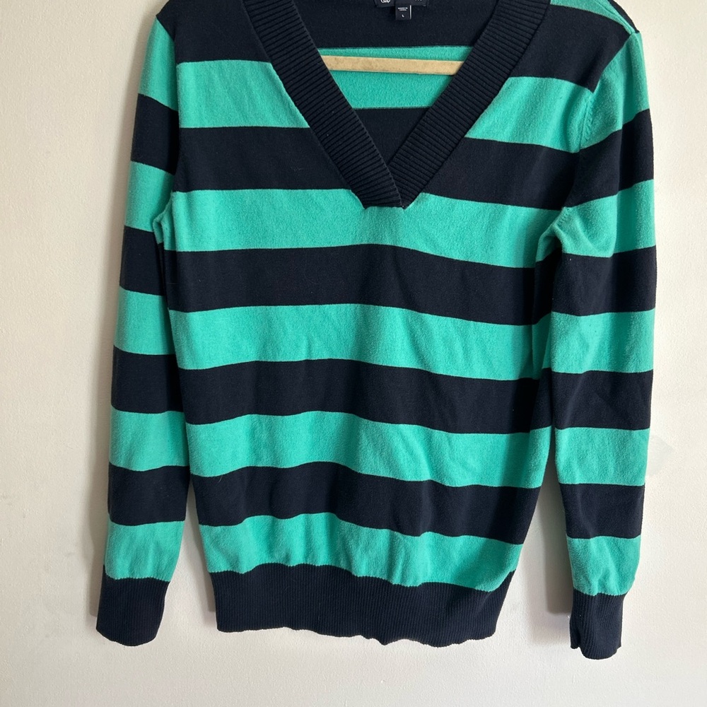 Gap Striped V-Neck Sweater in Black and Green